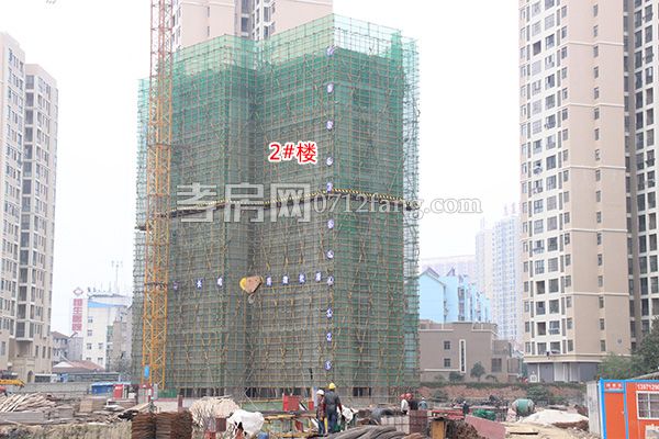 孝感金港尚城最新动态,小巷深处的独特风情揭秘