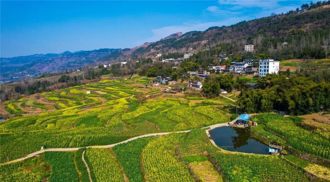 云阳人家最新房屋出租,云阳人家,最新房屋出租信息一览