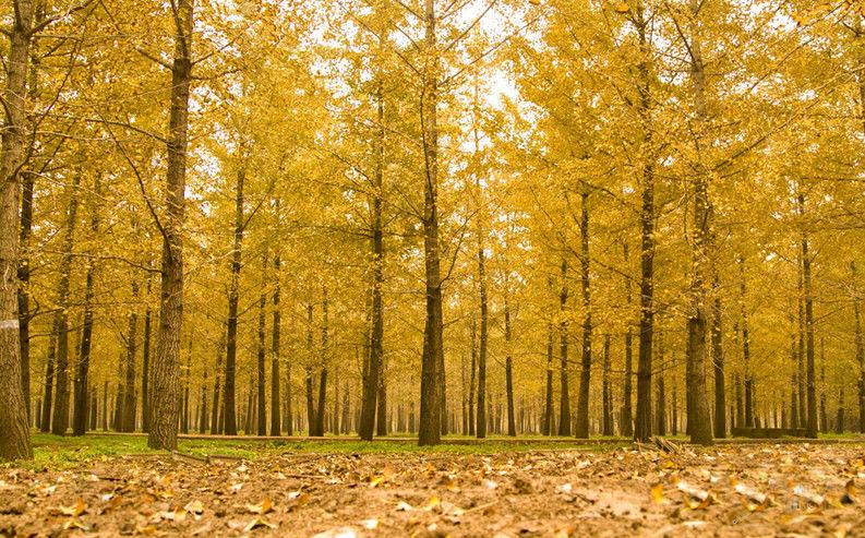 徐州地震最新消息,关注即将到来的2024年地震动态