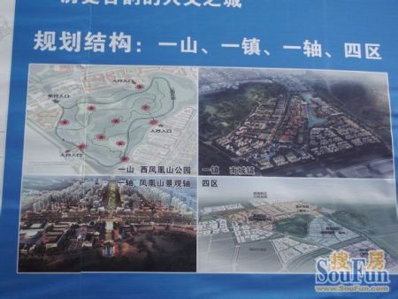 横山凤凰新城最新消息,横山凤凰新城最新消息——凤凰花开，温情绽放