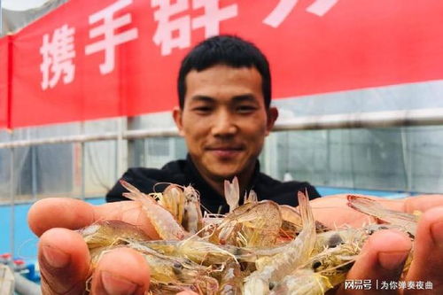 搬家必读 第458页