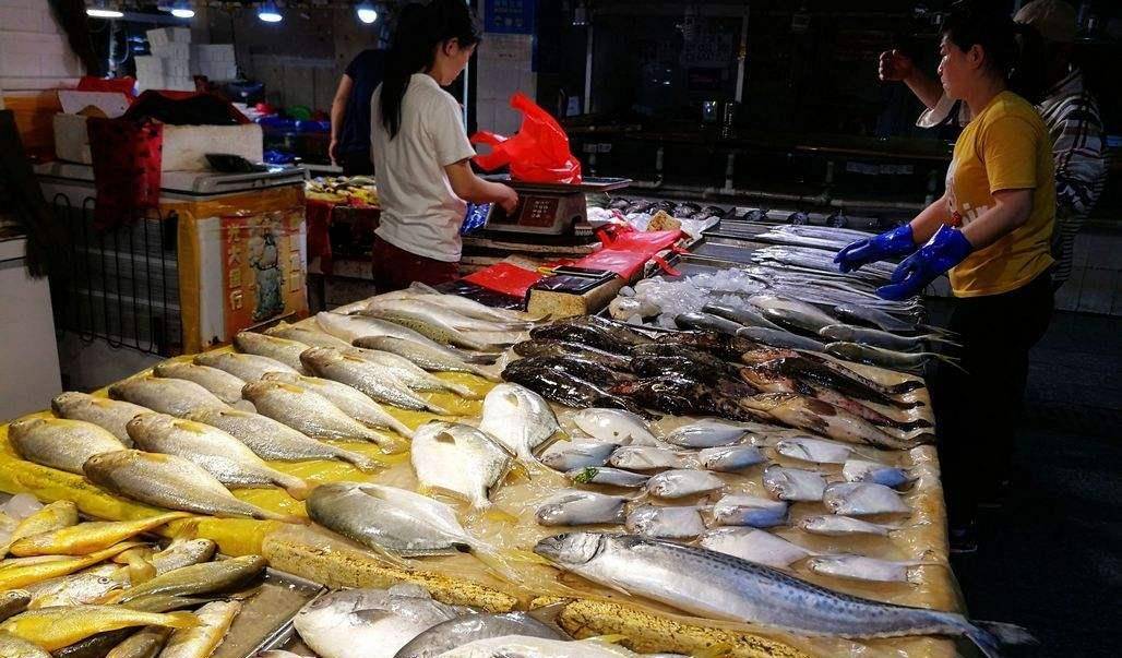 上海海鲜养殖招聘启事,探索自然美景,共赴欢乐养殖之旅,寻求内心宁静与欢笑