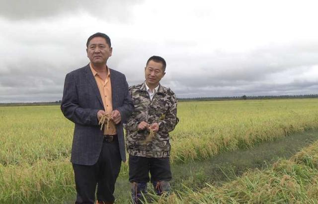 寿光市最新规划图，自然美景的探索之旅启动！