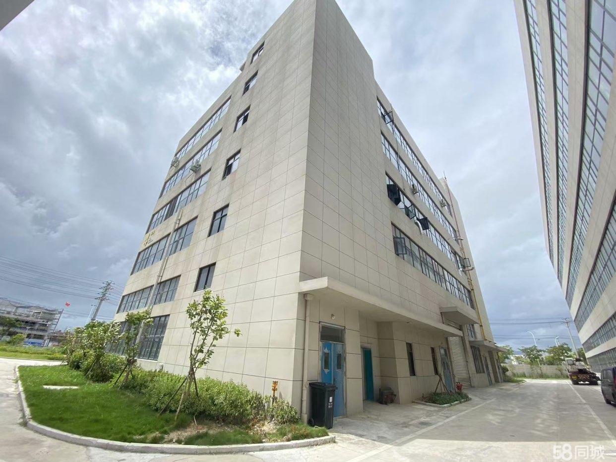 瑞安最新厂房出租信息,瑞安最新厂房出租信息概览