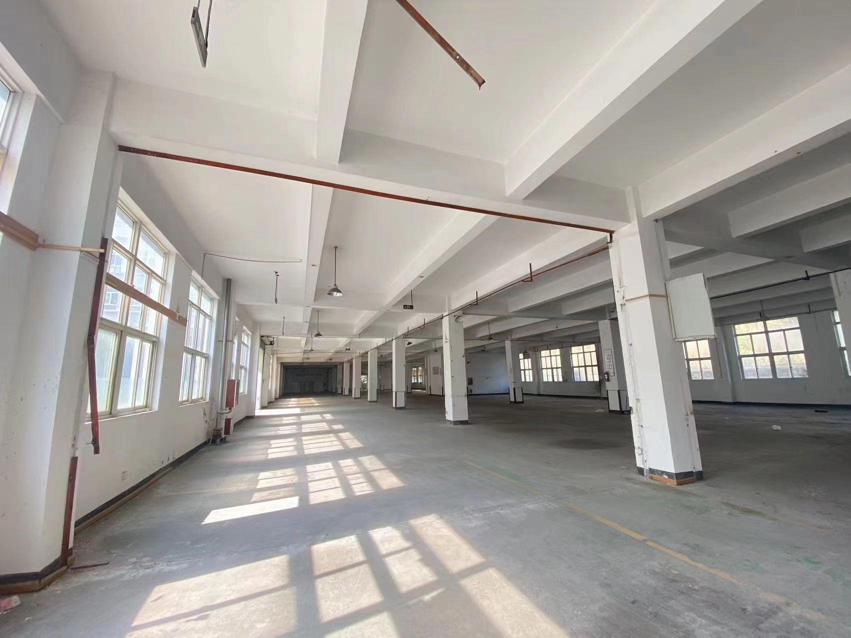 瑞安最新厂房出租信息,瑞安最新厂房出租信息概览