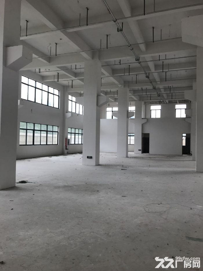 瑞安最新厂房出租信息,瑞安最新厂房出租信息概览