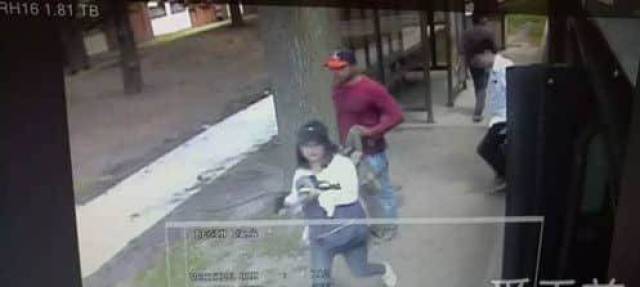 章莹颖失踪最新进展更新