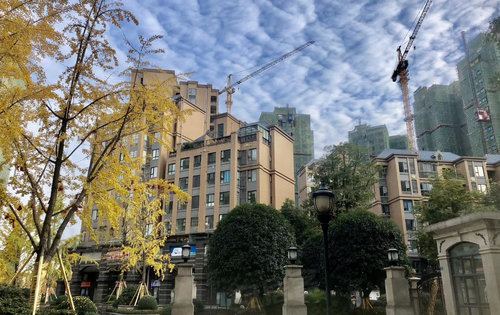 青白江蝴蝶州最新房价,青白江蝴蝶州的温馨家园故事