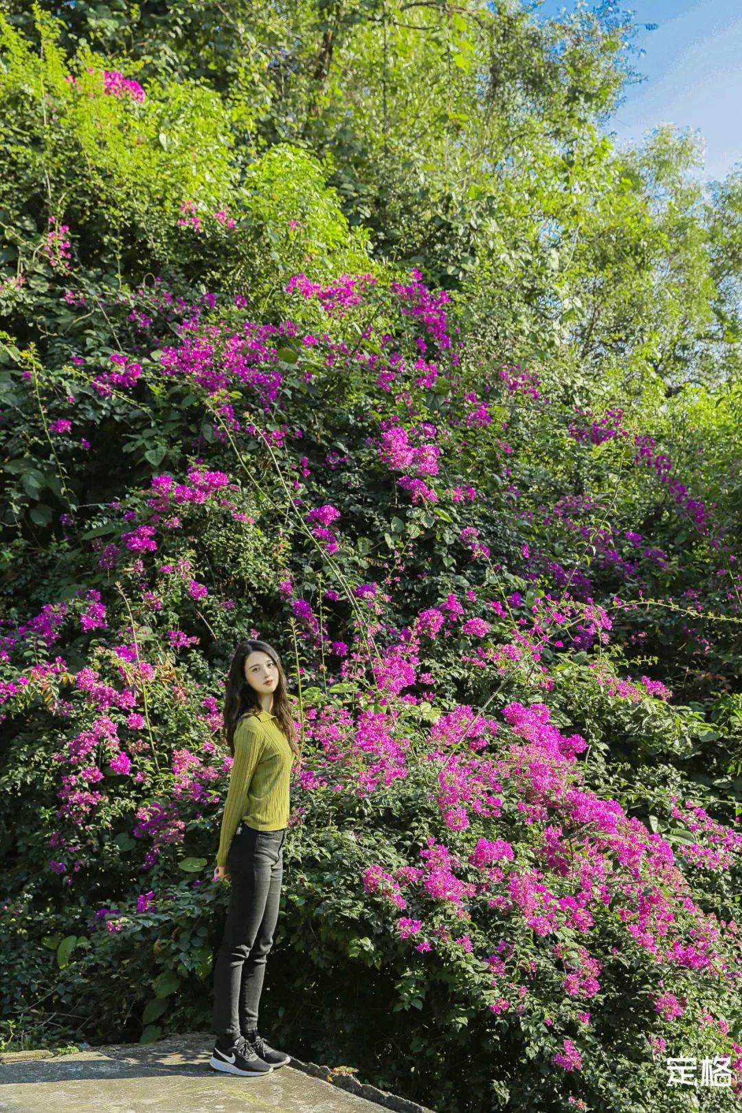 围岭公园最新消息,围岭公园最新消息及其相关观点论述