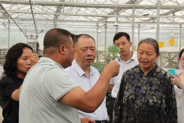 雷腾芳最新消息,雷腾芳最新消息，变化中的学习之旅，自信与成就感的源泉
