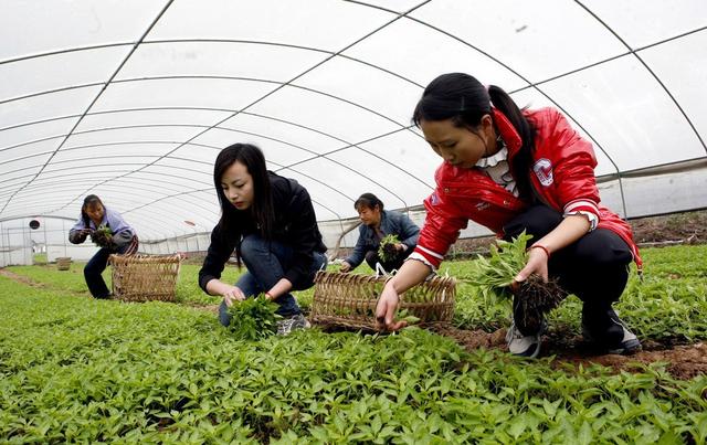 一亩田最新估值,一亩田最新估值步骤指南(适合初学者与进阶用户)