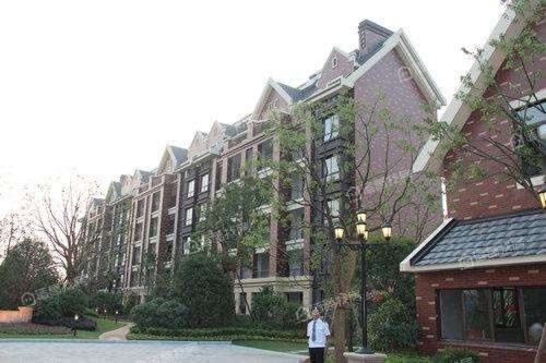 红豆清华苑最新消息,红豆清华苑最新消息,巷弄深处的美食秘境