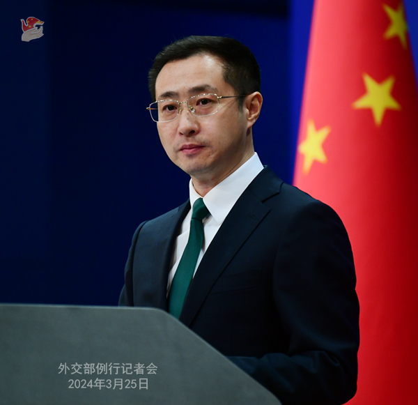 外交部最新发言视频，探索隐藏特色小店的秘密对话