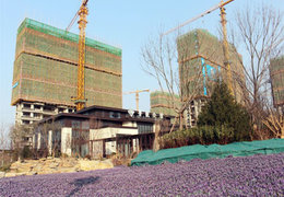 章丘鲁能公馆最新动态闪亮发布!