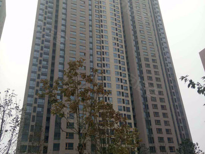 嘉都国际最新消息,嘉都国际最新消息📣🏢