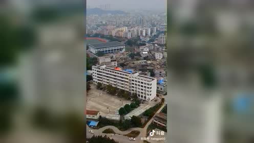 服务项目 第455页