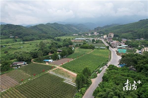 博罗县福田镇案件背后的温馨日常,友情与亲情的交织