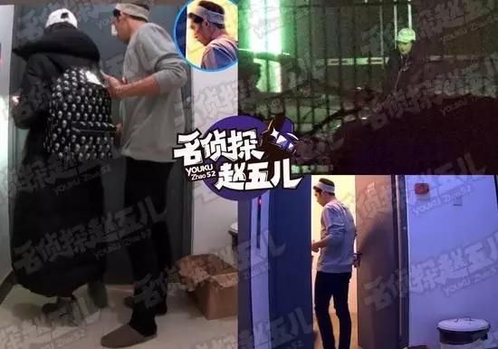 井柏然倪妮最新视频,深度分析与观点阐述