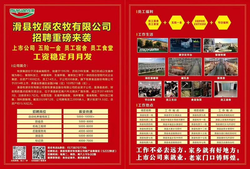 襄阳养猪场最新招聘,襄阳养猪场的温馨招聘之旅