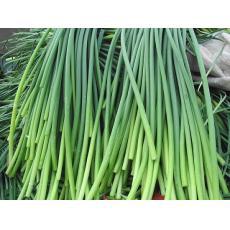 金乡蒜苔最新行情揭秘,小巷深处的蒜香宝藏价格更新