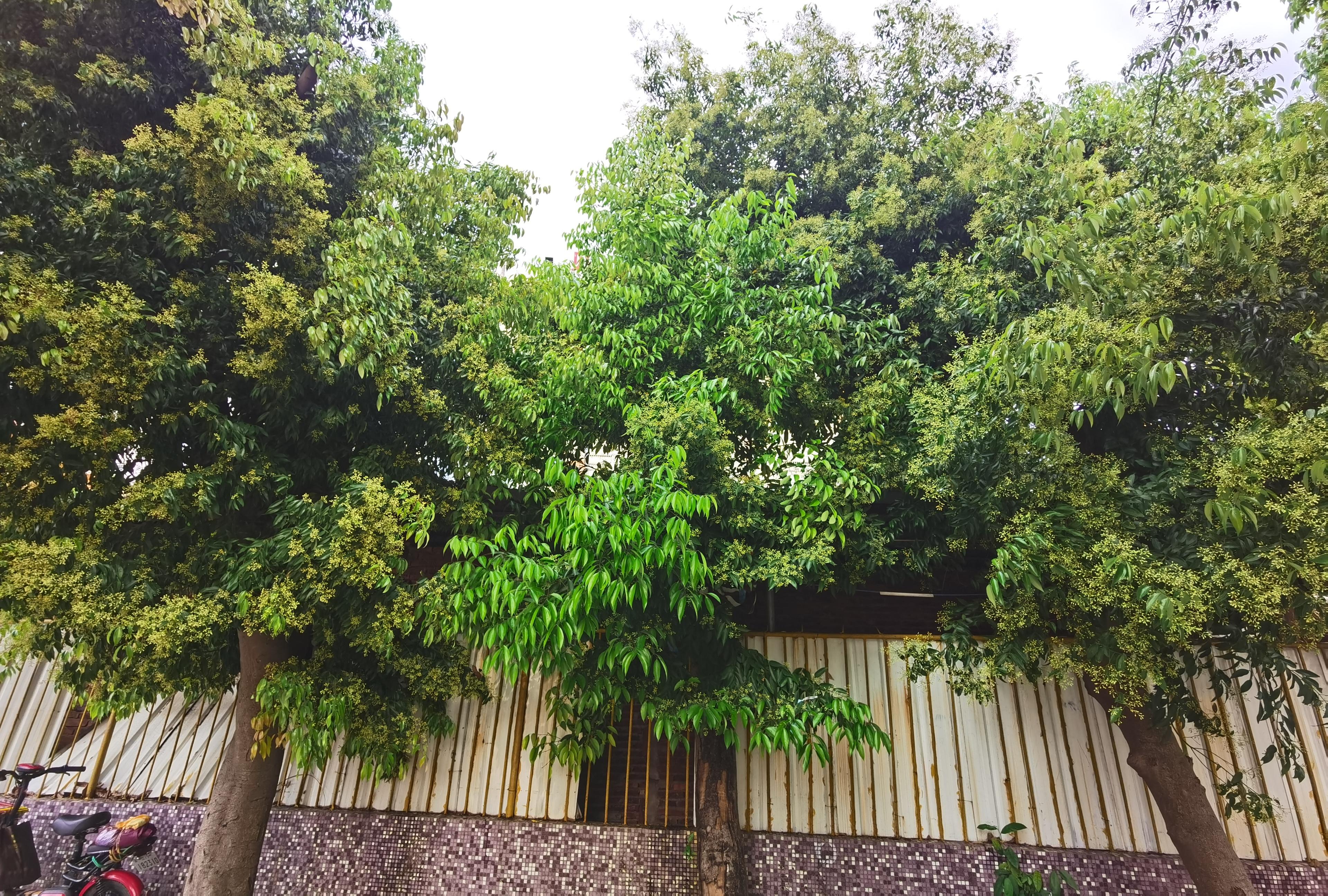 开平三埠最新招工信息,开平三埠最新招工信息