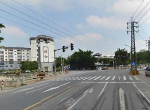 忠金大道的最新动态与温馨日常