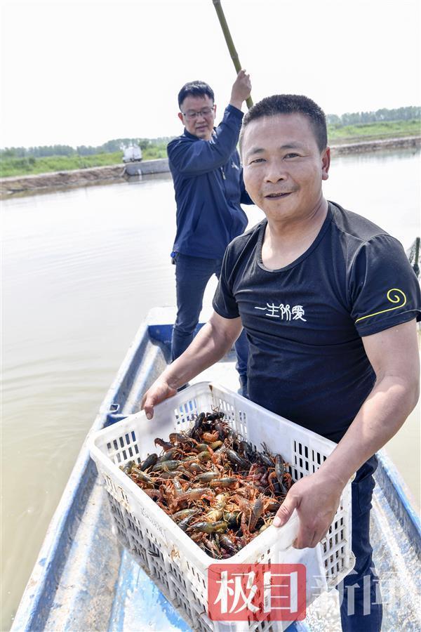 武汉白沙洲最新新闻,武汉白沙洲最新新闻及其相关观点论述