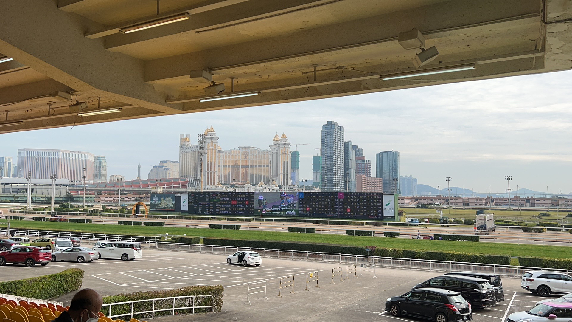 澳门今晚上开的特马,高度协调实施_清新版24.306