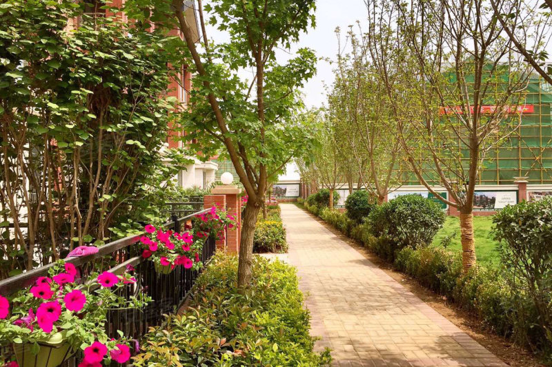 西安水半湾最新房价揭秘,家的温馨故事启程