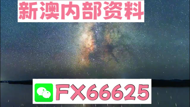 新澳天天彩,理论考证解析_原型版52.117