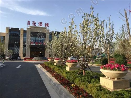 德州花漫香都最新动态揭秘,最新进展与资讯速递