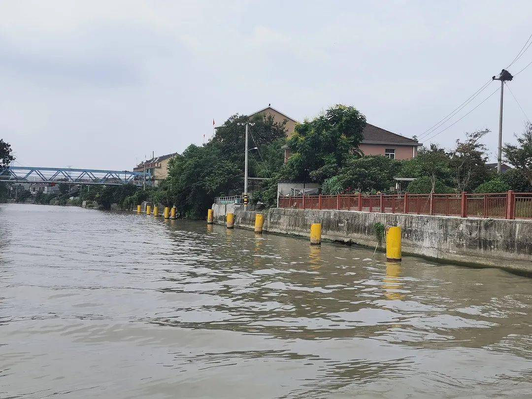 杭州莫邪塘，巷弄深处的隐藏瑰宝最新消息揭秘