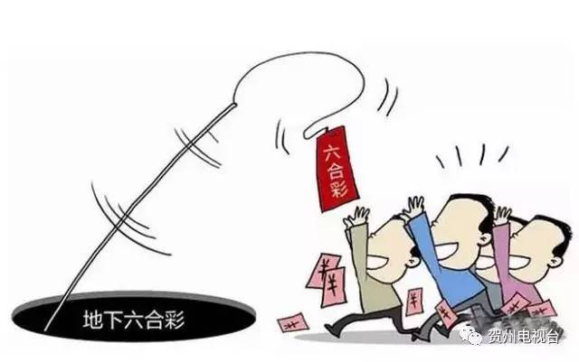 澳门六合资料,高速应对逻辑_线上版50.578