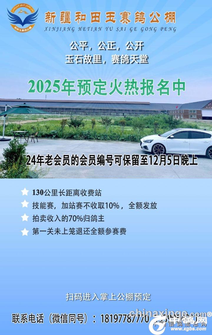 天立公棚最新公告2024,天立公棚最新公告2024,未来规划与展望