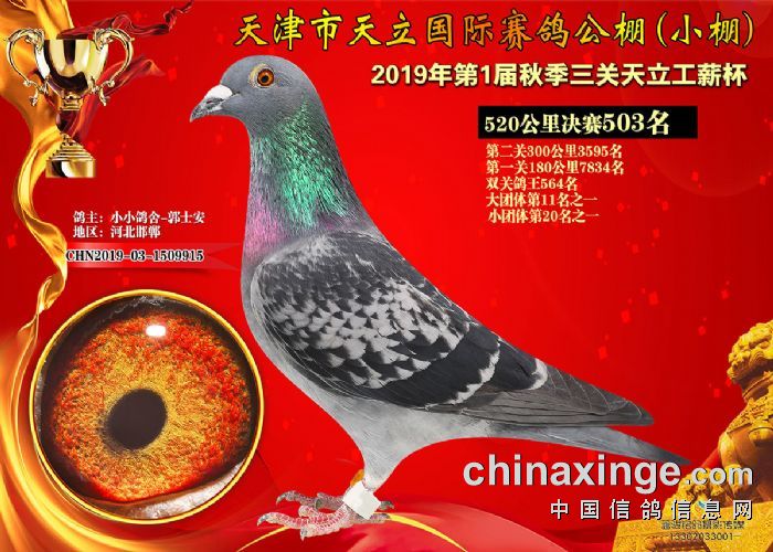 天立公棚最新公告2024,天立公棚最新公告2024,未来规划与展望