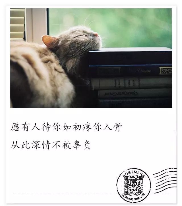 每日七言最新最火,每日七言最新最火,探寻语言魅力的三大要点