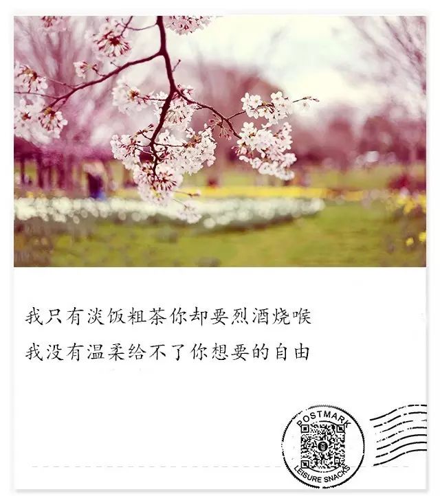 每日七言最新最火,每日七言最新最火，探寻语言魅力的三大要点