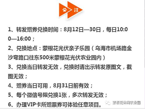 澳门天天好彩,高效执行方案_无限版11.729