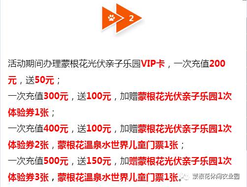 澳门天天好彩,高效执行方案_无限版11.729