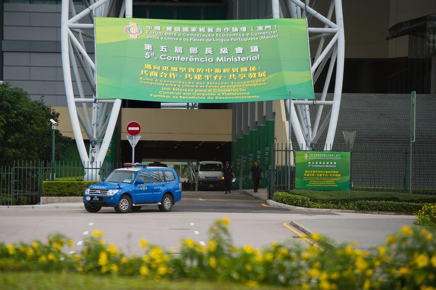 澳门精准12码中特,高度协调实施_运动版24.216