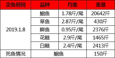 2024澳门天天开奖免费材料,案例实证分析_DIY工具版12.721