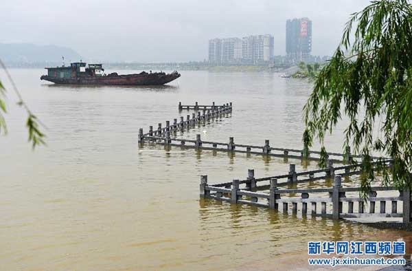 江西鄱阳湖最新水位动态,水位新曲揭秘湖面变化