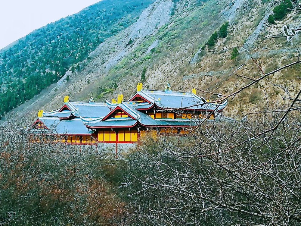 青川青青溪最新消息,青川青青溪最新消息，小巷中的隐藏瑰宝