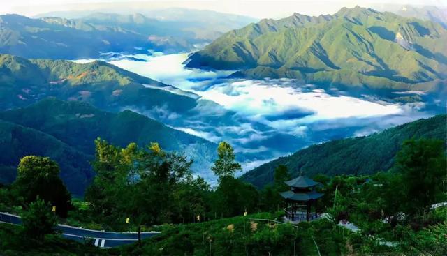 青川青青溪最新消息,青川青青溪最新消息,小巷中的隐藏瑰宝