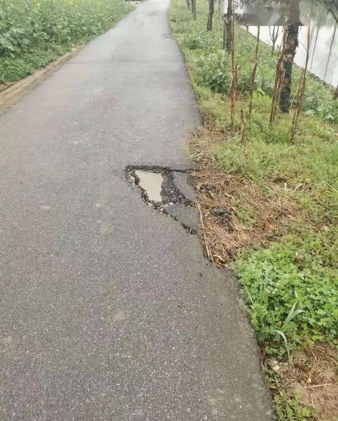 新澳门天天开奖结果888,快速问题处理_为你版96.953