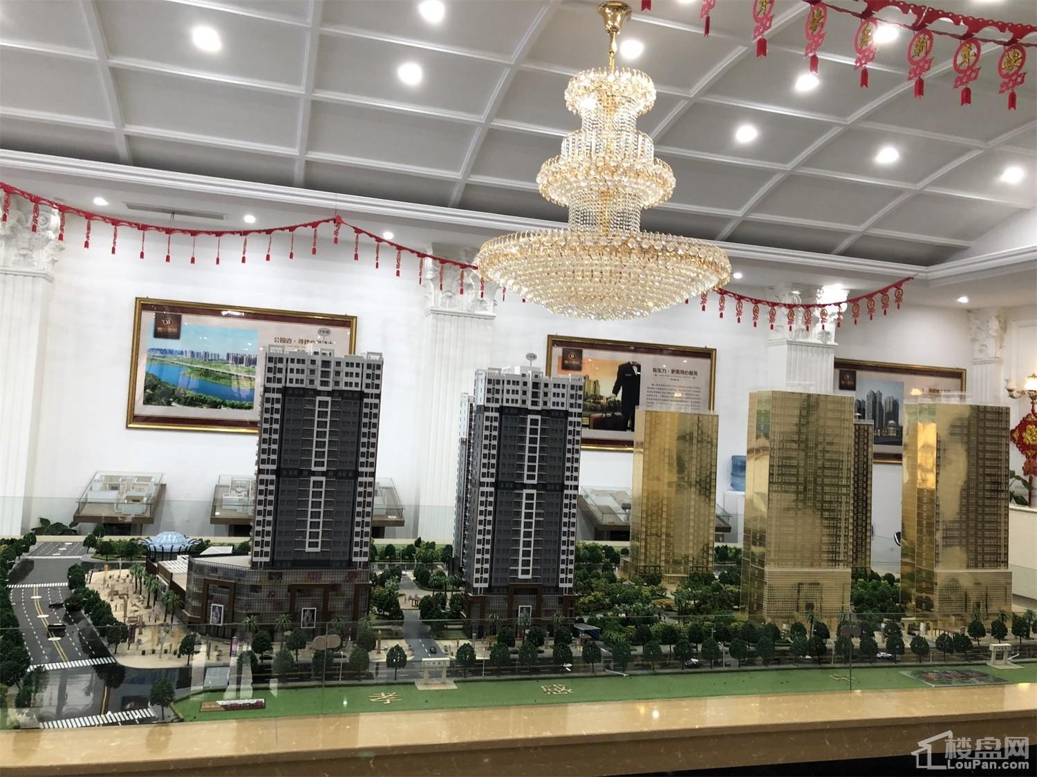 鑫火国际最新动态，心灵与自然的奇妙之旅