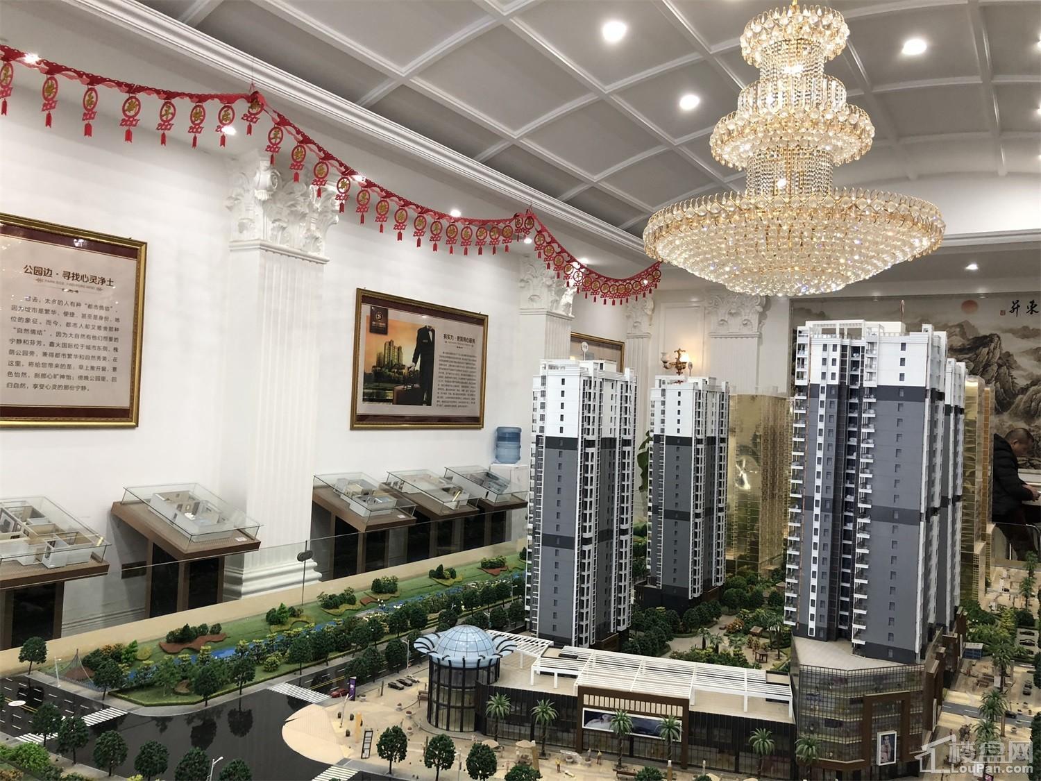 鑫火国际最新动态,心灵与自然的奇妙之旅