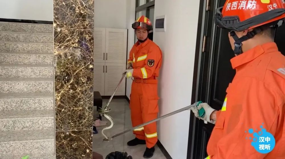 123862新奥网彩,安全保障措施_智慧共享版57.682