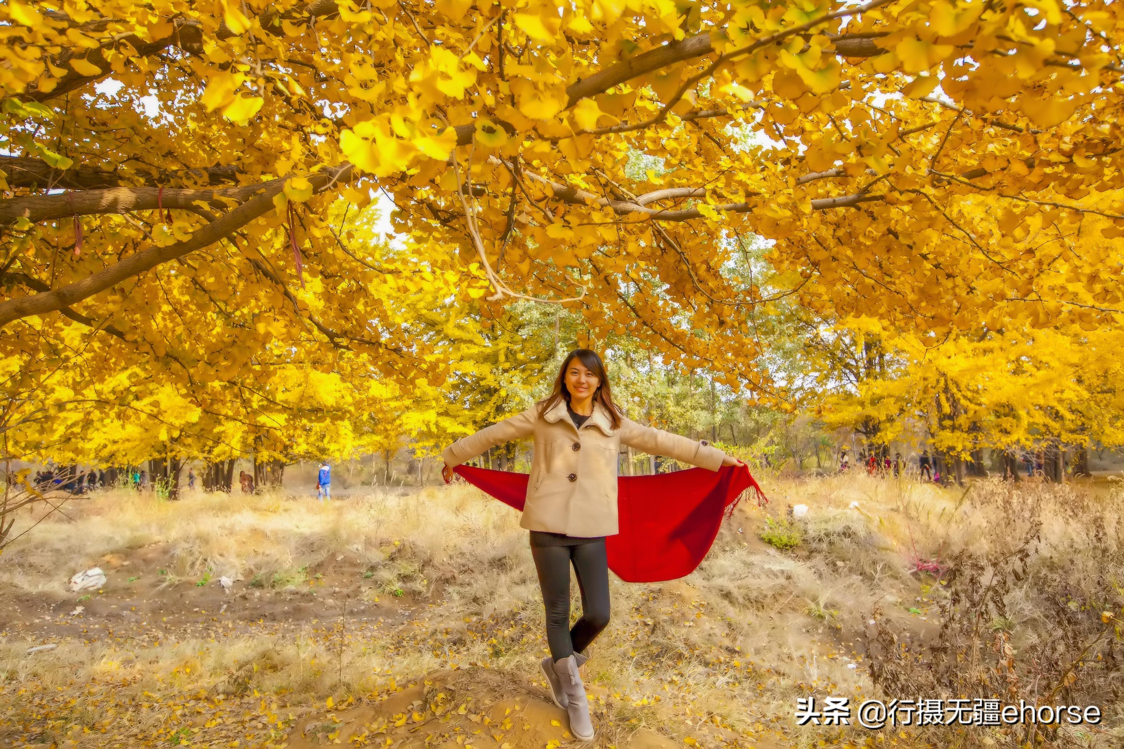 郯城邳州冲突最新动态,力量变化与自信学习之路