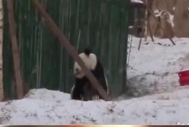 尚志市最新招聘信息,尚志市最新招聘信息概览